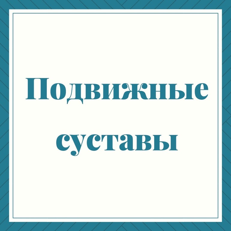 Подвижные суставы