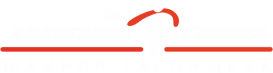 лого1